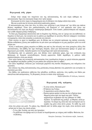 114
Περιγραφή ενός χώρου
Ζούμε στην εποχή του τσιμέντου και της πολυκατοικίας. Κι εγώ τώρα κάθομαι σε
πολυκατοικία. Έχω ένα εσωτερικό δυάρι στον τρίτο όροφο.
Εσωτερικά τα λένε τώρα τα διαμερίσματα που δε βλέπουν στο δρόμο αλλά στην αυλή.
Μα και η αυλή πια δε λέγεται αυλή αλλά ακάλυπτος χώρος.
Η πολυκατοικία μας είναι σαν όλες τις άλλες που χτίζονται η μια ύστερα απ’ την άλλη και σπάνια
βλέπεις παράθυρο. Είναι όλο μπαλκονόπορτες και βγαίνουν σ’ ένα μπαλκόνι που ζώνει την
πολυκατοικία ένα γύρο και θυμίζει κατάστρωμα βαποριού. Έτσι λοιπόν, μπαλκονόπορτα και κάμαρα,
και η κάθε κάμαρα μοιάζει διάδρομος.
Το δικό μας διαμέρισμα αποτελείται από το δωμάτιο της Νέλλης, που το ’χουμε και για καθιστικό, το
δωμάτιο το δικό μου, την κουζίνα και το μπάνιο με παράθυρο σε φεγγίτη. Παντού υπάρχουν ντουλάπια
εντοιχισμένα, τόσα όσα επιτρέπει η αναλογία του σπιτιού.
Όταν ανοίγω το πρωί το παράθυρο μου, δε βλέπω πια τα γελαστά πρόσωπα της παλιάς γειτονιάς.
Βλέπω ανθρώπους ξένους που φοβούνται να μου πουν μια καλημέρα κι ας μας χωρίζουν μόνο τα εννιά
μέτρα του.
Αυτός ο ακάλυπτος χώρος πηγαίνει σε βάθος και από τις δυο πλευρές του είναι χτισμένες άλλες δύο
πολυκατοικίες. Στο βάθος δεν έχει δυστυχώς διέξοδο, αλλά μια πολυκατοικία φράζει το χώρο και
δημιουργεί μια σούδα. Δηλαδή είμαστε ένα συγκρότημα από εφτά πολυκατοικίες.
Κοιτάζοντας από το μπαλκόνι μου, που βλέπει στον ακάλυπτο χώρο, έχω την εντύπωση πως
βρίσκομαι σε θεωρείο κουκλοθέατρου. Σωστή μαριονέτα. Κάθε παράθυρο, ή μάλλον κάθε
μπαλκονόπορτα, είναι μια σκηνή.
Στον τρίτο όροφο της αντικρινής πολυκατοικίας ένας γεροδεμένος άντρας με μαγιό στέκεται μπροστά
στο παράθυρο και βαράει γροθιές σε μια μπάλα που κρέμεται από το ταβάνι.
Στο άλλο παράθυρο, στέκεται μια νοικοκυρά μπροστά στη σανίδα σιδερώματος και σιδερώνει ένα
φουστάνι.
Στο ισόγειο της ίδιας πολυκατοικίας ένας μεσόκοπος άντρας βαστάει ένα μπαστούνι και κυνηγάει να
σκοτώσει μια γάτα.
Στο βάθος του ακάλυπτου κάθονται δυο φίλαθλοι, αντίθετοι, φαίνεται, στις ομάδες και δίπλα μια
οικογένεια από φιλόμουσους. Τις Κυριακές γίνεται το σώσε στην αυλή μας.
Μαρία Ιορδανίδου, Η Αυλή μας. Διασκευή
Περιγραφή ενός αγάλματος
- Τι είναι τούτο, Παναγιά μου!
- Η Σφίγγα της Γκίζας.
- Τι παριστάνει αυτή η Σφίγγα; Θεό;
- Πρώτα πρώτα πρέπει να σας πω ότι η Σφίγγα ήταν
θαμμένη κάτω από την άμμο και κάτι Γάλλοι
αρχαιολόγοι τη βρήκαν και την ξέθαψαν το 1800
περίπου. Το πρόσωπό της μοιάζει με Φαραώ, αλλά με
περούκα. Το σώμα της είναι σαν του λιονταριού και το
κεφάλι της μόνο είναι πέντε μέτρα. Το κάθε της αυτί
είναι ένα μέτρο και μισό. Το μήκος της, δηλαδή από τα πόδια μέχρι την ουρά, είναι πενήντα εφτά
μέτρα και το ύψος της είκοσι μέτρα.
- Τι λες, βρε Λουκία, και πώς την έφτιαξαν;
- Τη σκάλισαν στο βράχο και ό,τι έλειπε το συμπλήρωσαν με τοίχους από τούβλα. Φαίνεται, δεν
το βλέπεις;
Κατερίνα Σκαλιώρα, Ένα αλλιώτικο ταξίδι, Διασκευή
 