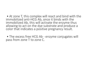 • At zone T, this complex will react and bind with the
immobilized anti-HCG Ab, once it binds with the
immobilized Ab, this will activate the enzyme thus
allowing to act on the dye substrate and produce a
color that indicates a positive pregnancy result.
• The excess free HCG Ab - enzyme conjugates will
pass from zone T to zone C.
 