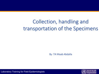E P I D E M I C A L E R T A N D R E S P O N S E
Laboratory Training for Field Epidemiologists
Collection, handling and
transportation of the Specimens
By :TA Maab Abdalla
 