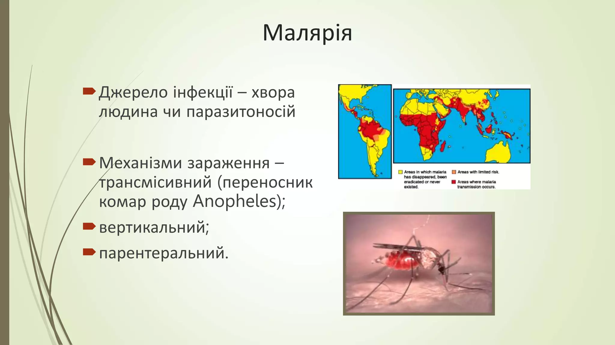 Малярія
Джерело інфекції – хвора
людина чи паразитоносій
Механізми зараження –
трансмісивний (переносник
комар роду Anopheles);
вертикальний;
парентеральний.
 