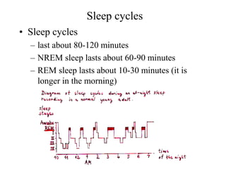 Sleep cycles
• Sleep cycles
– last about 80-120 minutes
– NREM sleep lasts about 60-90 minutes
– REM sleep lasts about 10-...