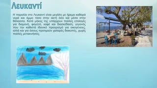 Η παραλία στο Λευκαντί είναι μεγάλη με ήρεμα καθαρά
νερά και άμμο τόσο στην ακτή όσο και μέσα στην
θάλασσα. Κατά μήκος της υπάρχουν πολλές επιλογές
για διαμονή, φαγητό, καφέ και διασκέδαση, γεγονός
που την καθιστά ιδανικό προορισμό για οικογένειες,
αλλά και για όσους προτιμούν χαλαρές διακοπές, χωρίς
πολλές μετακινήσεις.
 