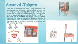 Στον πιο καλοδιατηρημένο τάφο, ενός άνδρα που έχει
αποτεφρωθεί και δίπλα του έχουν αποθέσει τα όπλα του,
κι ένας χρυσός νεκρικός διάκοσμος, μέσα σε μία
τεφροδόχο βρέθηκε διπλωμένο ένα λινό ένδυμα. Αυτό
είναι το αρχαιότερο ύφασμα που έχει βρεθεί στην Ελλάδα
και ίσως και σε ολόκληρο τον κόσμο, καθώς ο τάφος
χρονολογείται στον 11ο π.Χ. αιώνα. Σήμερα μπορούμε να
επισκεπτούμε τον αρχαιολογικό χώρο που είναι και
σκεπαστός και τα ευρήματα μπορούμε να τα δούμε στο
Μουσείο της Χαλκίδας.
 