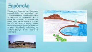 Σήμερα στο Λιμανάκι της Ξηρόπολης
αγκυροβολούν τα ψαροκάικα των
ντόπιων ψαράδων, πολλοί ψαρεύουν με
πετονιά από την ακρογιαλιά και το
καλοκαίρι κάνουμε τα μπάνια μας
καθώς είναι τελείως απάνεμη παραλία
και δεν την πιάνει ο αέρας. Επίσης
στήνεται εξέδρα για χορούς ή συναυλίες
κι άλλες πολιτιστικές εκδηλώσεις την
Καθαρά Δευτέρα ή στις γιορτές τα
καλοκαίρια.
 