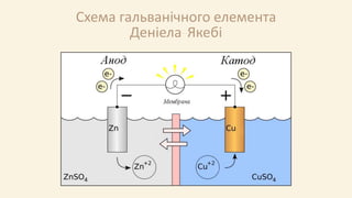Схема гальванічного елемента
Деніела Якебі
 
