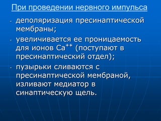 При проведении нервного импульса
- деполяризация пресинаптической
мембраны;
- увеличивается ее проницаемость
для ионов Са
++
(поступают в
пресинаптический отдел);
- пузырьки сливаются с
пресинаптической мембраной,
изливают медиатор в
синаптическую щель.
 