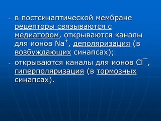 - в постсинаптической мембране
рецепторы связываются с
медиатором, открываются каналы
для ионов Na
+
, деполяризация (в
возбуждающих синапсах);
- открываются каналы для ионов Cl¯,
гиперполяризация (в тормозных
синапсах).
 