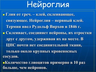 Нейроглия
 Глия от греч. – клей, склеивающее,
связующее. Нейроглия – нервный клей.
Термин ввел Рудольф Вирхов в 1846 г.
 Склеивает, соединяет нейроны, их отростки
друг с другом, удерживая их на месте. В
ЦНС почти нет соединительной ткани,
только около крупных кровеносных
сосудов.
Количество глиоцитов примерно в 10 раз
больше, чем нейронов.
 