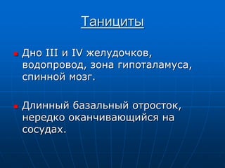 Танициты
 Дно III и IV желудочков,
водопровод, зона гипоталамуса,
спинной мозг.
 Длинный базальный отросток,
нередко оканчивающийся на
сосудах.
 