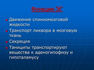 Функции ЭГ
 Движение спинномозговой
жидкости
 Транспорт ликвора в мозговую
ткань
 Секреция
 Танициты транспортируют
вещества к аденогипофизу и
гипоталамусу
 