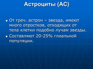 Астроциты (АС)
 От греч. астрон – звезда, имеют
много отростков, отходящих от
тела клетки подобно лучам звезды.
 Составляют 20-25% глиальной
популяции.
 