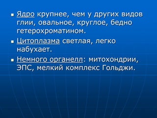  Ядро крупнее, чем у других видов
глии, овальное, круглое, бедно
гетерохроматином.
 Цитоплазма светлая, легко
набухает.
 Немного органелл: митохондрии,
ЭПС, мелкий комплекс Гольджи.
 