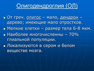 Олигодендроглия (ОЛ)
 От греч. олигос – мало, дендрон –
дерево; имеющие мало отростков.
 Мелкие клетки – размер тела 6-8 мкм.
 Наиболее многочисленны – 70%
глиальной популяции.
 Локализуются в сером и белом
веществе мозга.
 