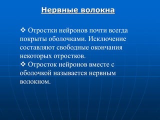 Нервные волокна
 Отростки нейронов почти всегда
покрыты оболочками. Исключение
составляют свободные окончания
некоторых отростков.
 Отросток нейронов вместе с
оболочкой называется нервным
волокном.
 