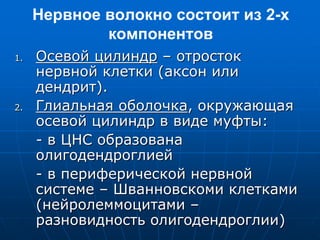 Нервное волокно состоит из 2-х
компонентов
1. Осевой цилиндр – отросток
нервной клетки (аксон или
дендрит).
2. Глиальная оболочка, окружающая
осевой цилиндр в виде муфты:
- в ЦНС образована
олигодендроглией
- в периферической нервной
системе – Шванновскоми клетками
(нейролеммоцитами –
разновидность олигодендроглии)
 