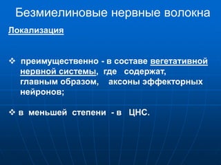 Безмиелиновые нервные волокна
Локализация
 преимущественно - в составе вегетативной
нервной системы, где содержат,
главным образом, аксоны эффекторных
нейронов;
 в меньшей степени - в ЦНС.
 