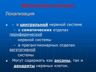 Локализация
 - в центральной нервной системе
- в соматических отделах
периферической
нервной системы
- в преганглионарных отделах
вегетативной
системы
 Могут содержать как аксоны, так и
дендриты нервных клеток.
Миелиновые волокна
 