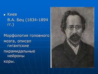  Киев
В.А. Бец (1834-1894
гг.)
Морфология головного
мозга, описал
гигантские
пирамидальные
нейроны
коры.
 