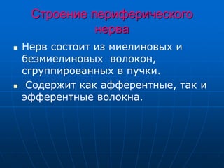 Строение периферического
нерва
 Нерв состоит из миелиновых и
безмиелиновых волокон,
сгруппированных в пучки.
 Содержит как афферентные, так и
эфферентные волокна.
 
