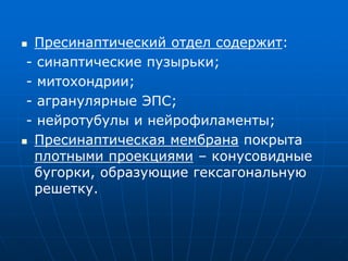  Пресинаптический отдел содержит:
- синаптические пузырьки;
- митохондрии;
- агранулярные ЭПС;
- нейротубулы и нейрофиламенты;
 Пресинаптическая мембрана покрыта
плотными проекциями – конусовидные
бугорки, образующие гексагональную
решетку.
 