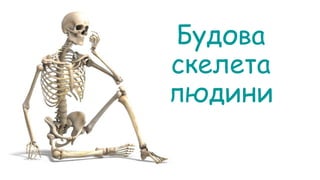 Будова
скелета
людини
 