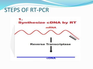 STEPS OF RT-PCR
 