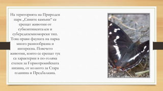 Природен Парк ,,Сините Камъни Презентация .pptx