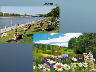 …лето…
 