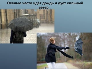 Осенью часто идёт дождь и дует сильный
ветер .
 