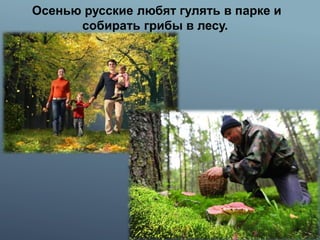 Осенью русские любят гулять в парке и
собирать грибы в лесу.
 