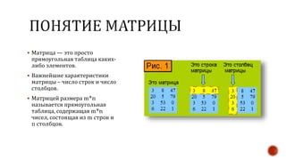 Матрица.pptx