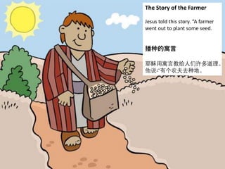 The Story of the Farmer
Jesus told this story. “A farmer
went out to plant some seed.
播种的寓言
耶稣用寓言教给人们许多道理。
他说∶“有个农夫去种地。
 