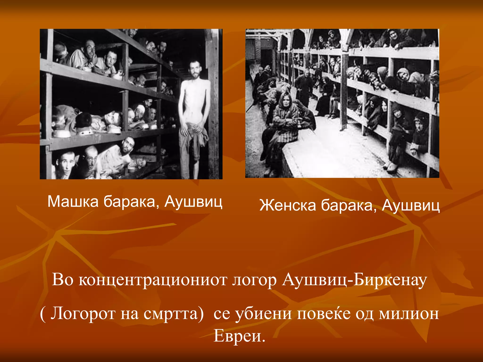 Холокаустот.ppt