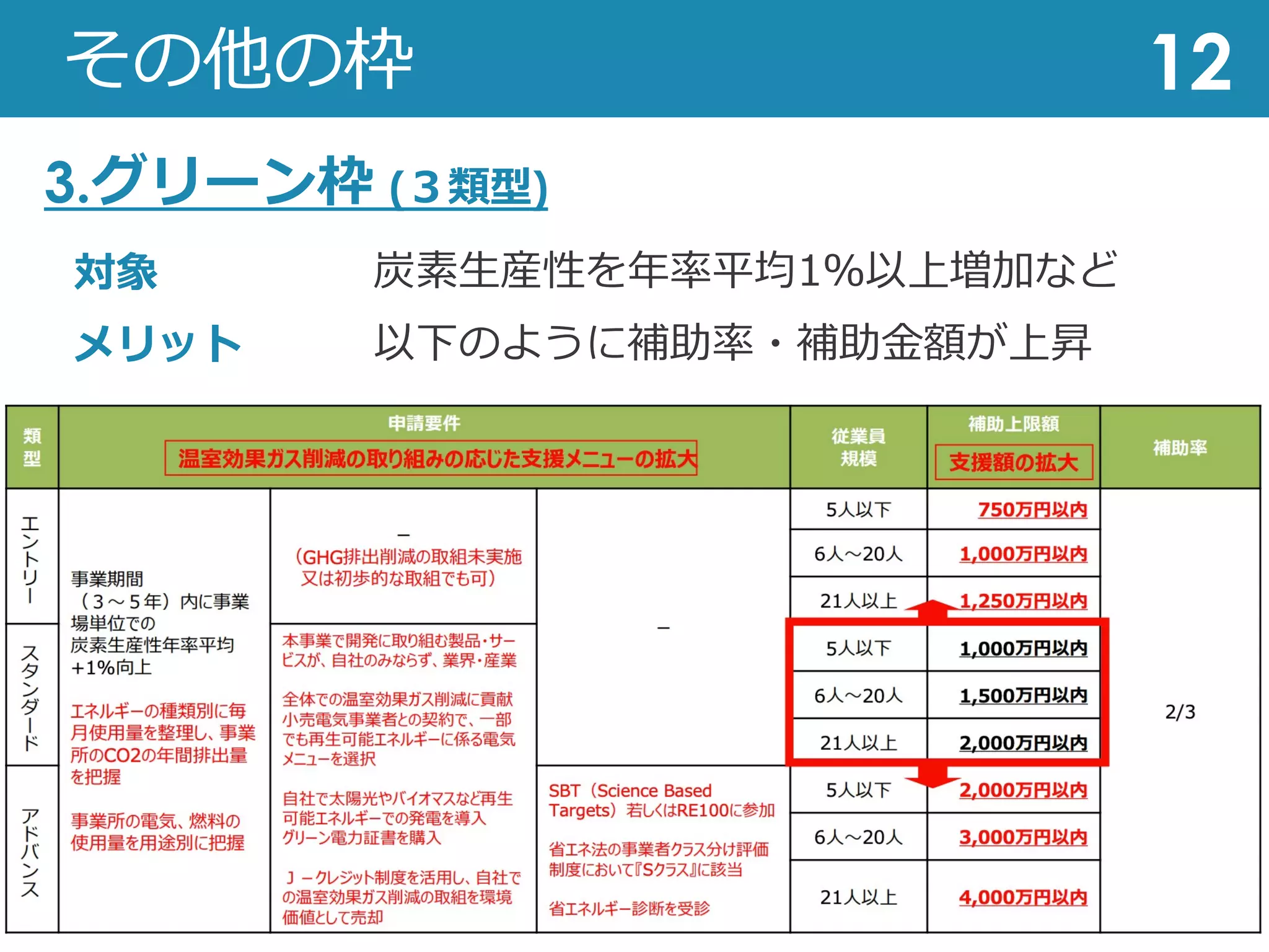その他の枠 12
3.グリーン枠 (３類型)
対象
メリット
炭素⽣産性を年率平均1％以上増加など
以下のように補助率・補助⾦額が上昇
 