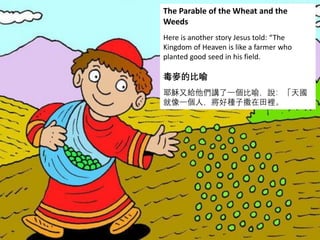 The Parable of the Wheat and the
Weeds
Here is another story Jesus told: “The
Kingdom of Heaven is like a farmer who
planted good seed in his field.
毒麥的比喻
耶穌又給他們講了一個比喻，說：「天國
就像一個人，將好種子撒在田裡。
 