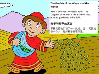 The Parable of the Wheat and the
Weeds
Here is another story Jesus told: “The
Kingdom of Heaven is like a farmer who
planted good seed in his field.
麦子和野草的寓言
耶稣又给他们讲了一个比喻，说：“天国就
像一个人，将好种子撒在田里。
 