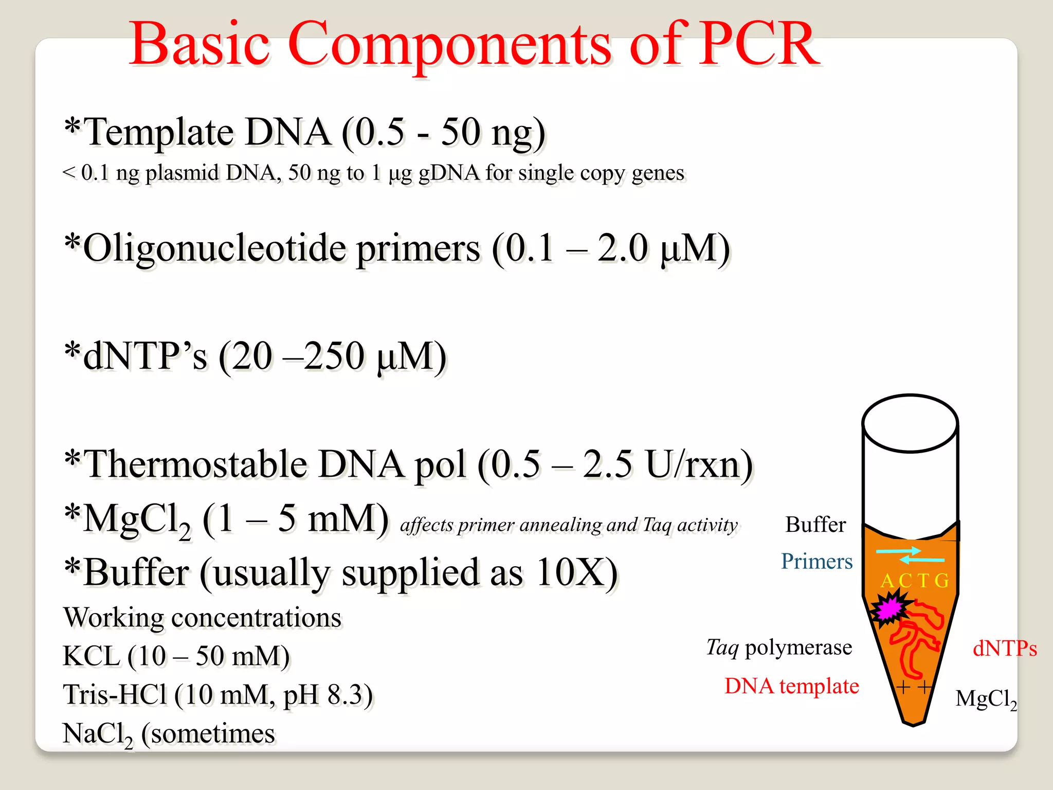 Basic Components of PCR
*Template DNA (0.5 - 50 ng)
< 0.1 ng plasmid DNA, 50 ng to 1 μg gDNA for single copy genes
*Oligonucleotide primers (0.1 – 2.0 μM)
*dNTP’s (20 –250 μM)
*Thermostable DNA pol (0.5 – 2.5 U/rxn)
*MgCl2 (1 – 5 mM) affects primer annealing and Taq activity
*Buffer (usually supplied as 10X)
Working concentrations
KCL (10 – 50 mM)
Tris-HCl (10 mM, pH 8.3)
NaCl2 (sometimes
dNTPs
Taq polymerase
Primers
DNA template
Buffer
+ +
A C T G
MgCl2
 