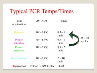 مي....PCR.pdf