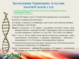 Теранекрон.pptx