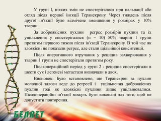 Теранекрон.pptx