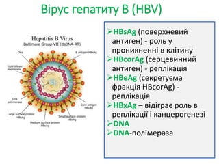 Вірусні гепатити .pptx