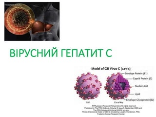 Вірусні гепатити .pptx