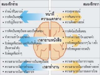 การทำงานของสมอง-และระบบประสาท.pptx