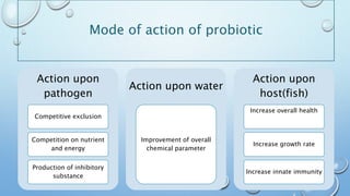 Mode of action of probiotic
11
Action upon
pathogen
Competitive exclusion
Competition on nutrient
and energy
Production of inhibitory
substance
Action upon water
Improvement of overall
chemical parameter
Action upon
host(fish)
Increase overall health
Increase growth rate
Increase innate immunity
 