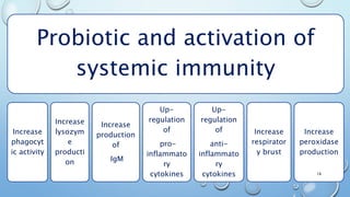 Probiotic and activation of
systemic immunity
Increase
phagocyt
ic activity
Increase
lysozym
e
producti
on
Increase
production
of
IgM
Up-
regulation
of
pro-
inflammato
ry
cytokines
Up-
regulation
of
anti-
inflammato
ry
cytokines
Increase
respirator
y brust
Increase
peroxidase
production
18
 