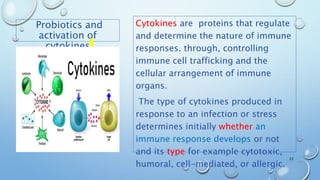 Probiotics and
activation of
cytokines
Cytokines are proteins that regulate
and determine the nature of immune
responses. through, controlling
immune cell trafficking and the
cellular arrangement of immune
organs.
The type of cytokines produced in
response to an infection or stress
determines initially whether an
immune response develops or not
and its type for example cytotoxic,
humoral, cell-mediated, or allergic.
22
 