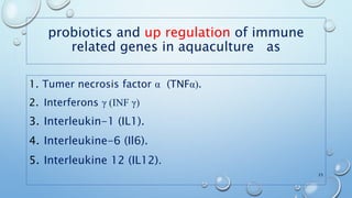 probiotics and up regulation of immune
related genes in aquaculture as
1. Tumer necrosis factor α (TNFα).
2. Interferons γ (INF γ)
3. Interleukin-1 (IL1).
4. Interleukine-6 (Il6).
5. Interleukine 12 (IL12).
23
 