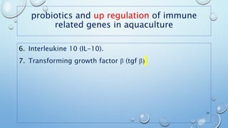 probiotics and up regulation of immune
related genes in aquaculture
6. Interleukine 10 (IL-10).
7. Transforming growth factor β (tgf β)
24
 