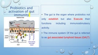 Probiotics and
activation of gut
immunity • The gut is the organ where probiotics not
only establish but also Execute their
functions including immunostimulaory
activity.
• The immune system Of the gut is referred
to as gut associated lymphoid tissue (GALT)
25
 