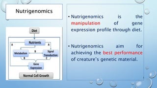Nutrigenomics
• Nutrigenomics is the
manipulation of gene
expression profile through diet.
• Nutrigenomics aim for
achieving the best performance
of creature’s genetic material.
3
 